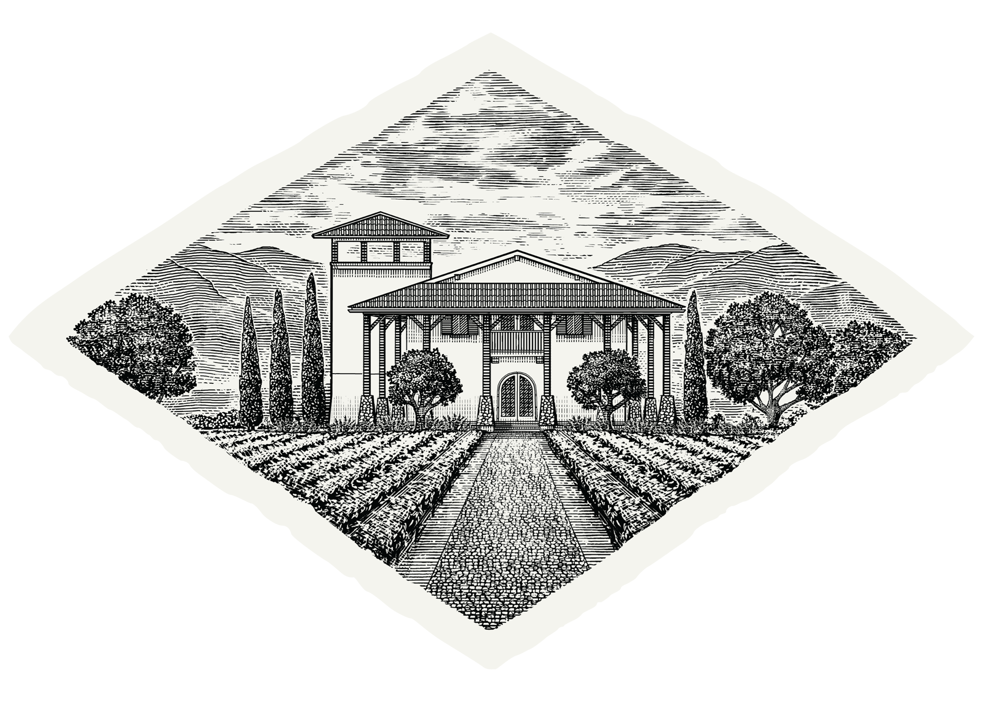 A Drawing of Burgess St. Andrews Vineyard